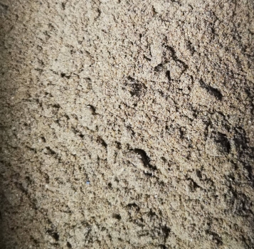 1kg Mehlwürmer Pulver Angeln Insekten Protein Zusatz Hund Koi Teich Zierfisch